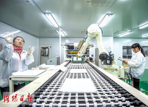 中建材凱盛科技公司 新型顯示材料基地投入試生產(chǎn)