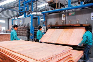 懷化工業園區鴻華 電子科技公司工人在進行生態板材的 熱壓工序圖