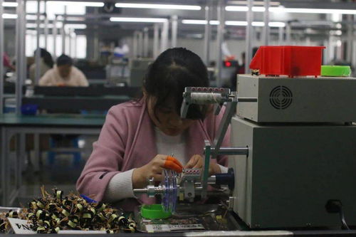 王宏兵赴武功縣調研督導“止滑促升、決戰(zhàn)收官”工作 助力電子材料生產發(fā)展